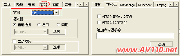 MediaCoder 容器参数